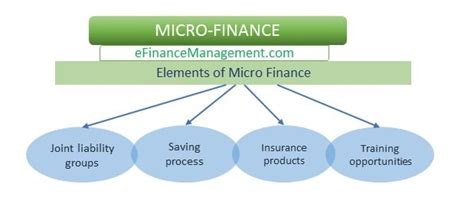 Microfinance Program and Financial Management .